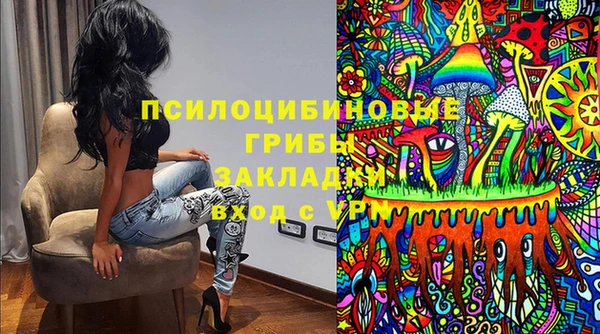 твердый Алзамай