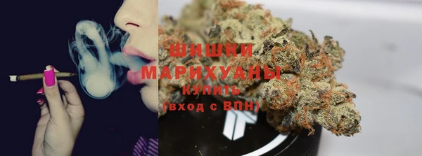 твердый Алзамай