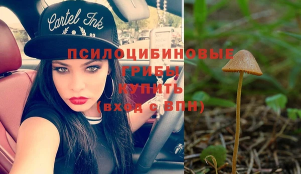 соль курить ск Алексин